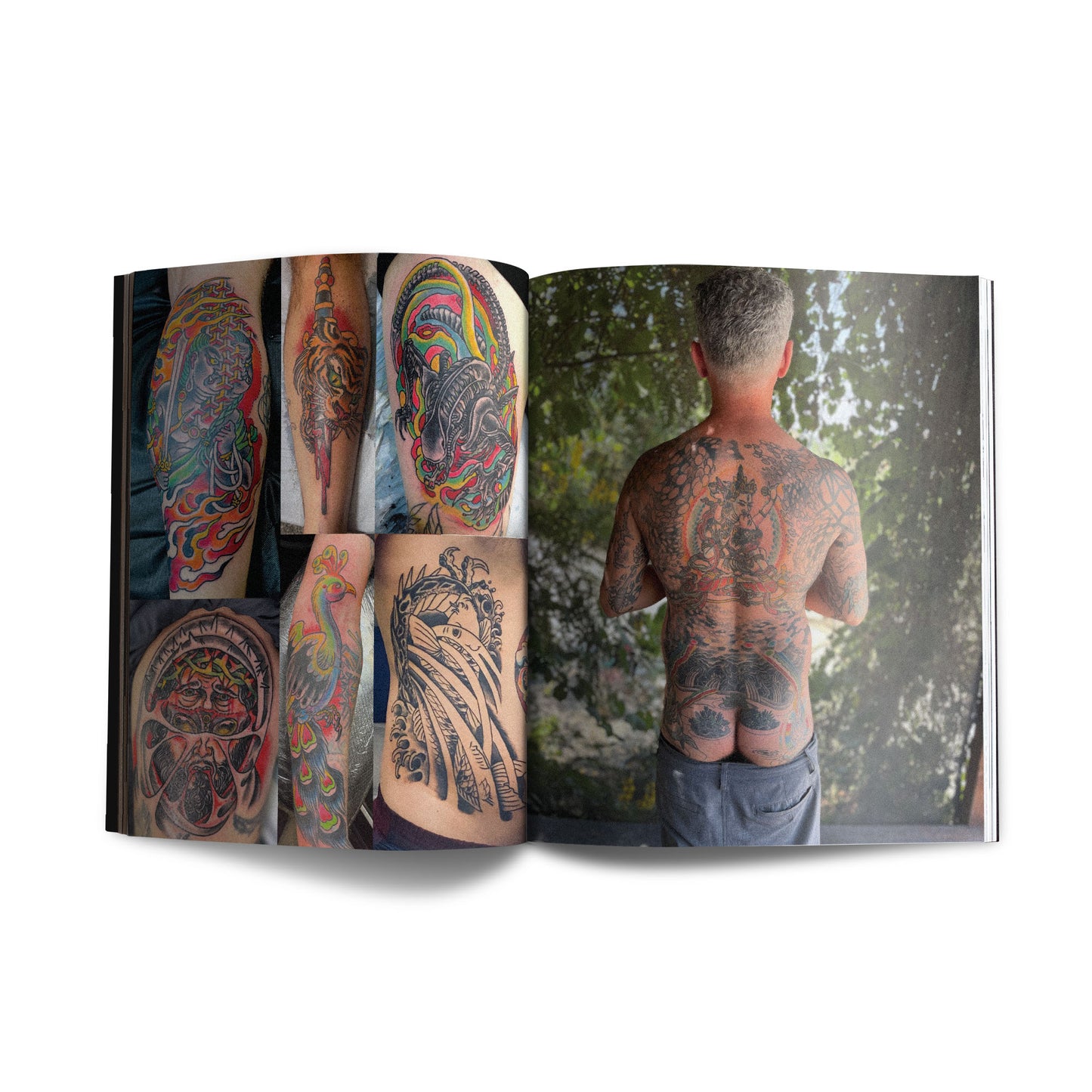 Eddy Deutsche Combo Package